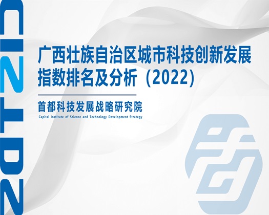 逼操出奶视频在线看免费版【成果发布】广西壮族自治区城市科技创新发展指数排名及分析（2022）